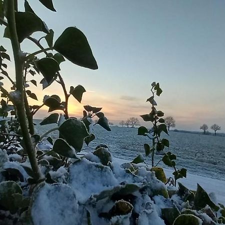 Zum Kranichblick Glinstedt Exterior foto